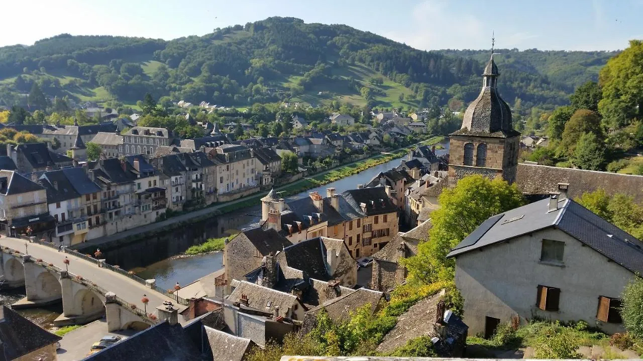 Chateau Ricard Saint-Geniez-dʼOlt Apart Otel